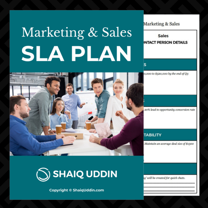 Marketing & Sales SLA Plan