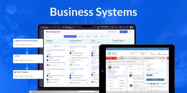 Business Systems
